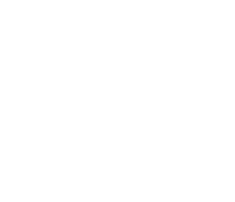 Dark branch with leaves on black background.